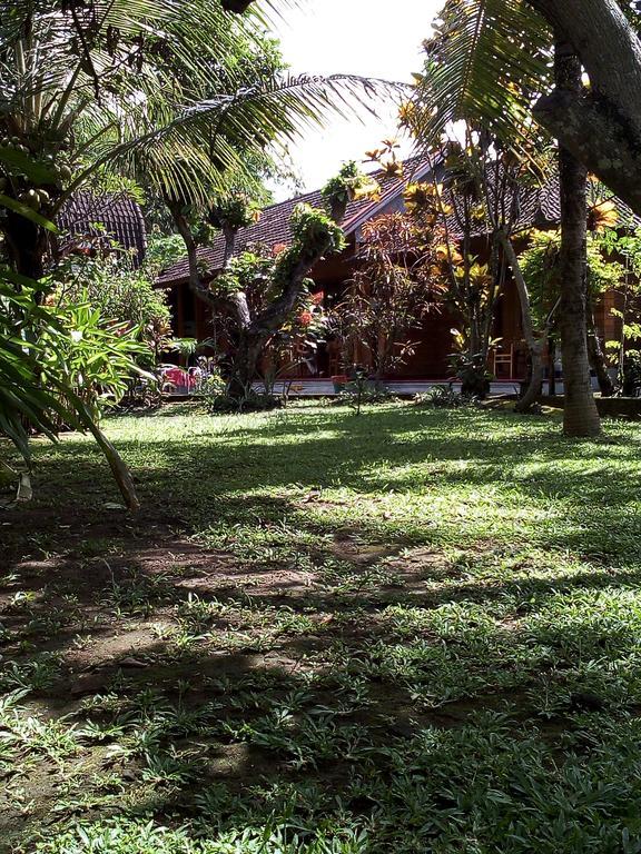Madra Homestay Ubud Exteriör bild