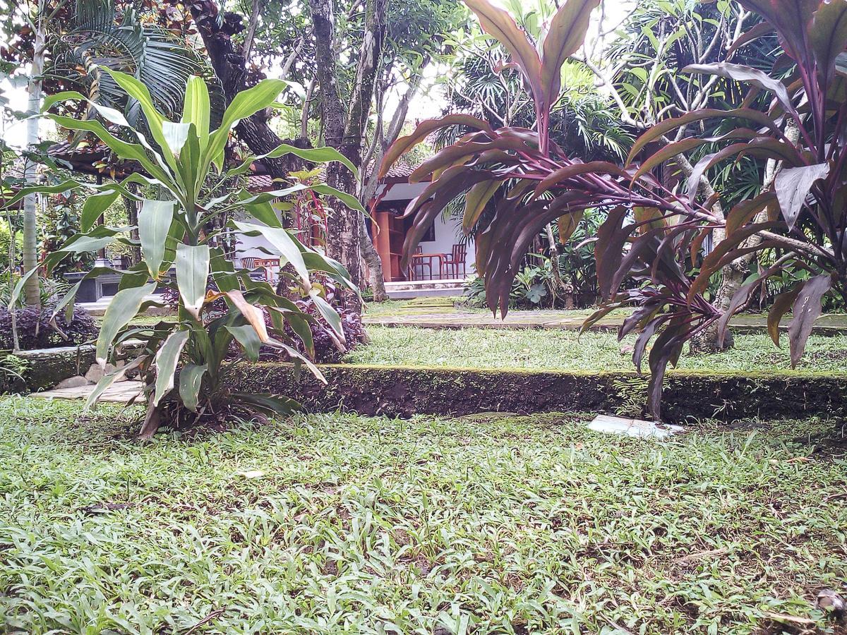Madra Homestay Ubud Exteriör bild